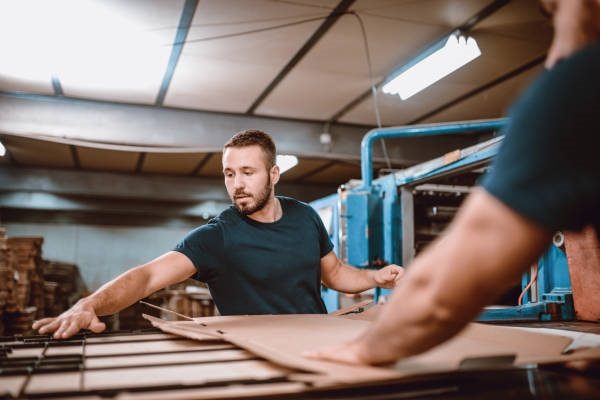 Desarrollo y Diseño